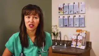 Does my cat have a cold? | Dr Justine Lee & sWheatScoop