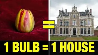 The Botany of Greed: How a Plant Virus Caused the First Economic Crash