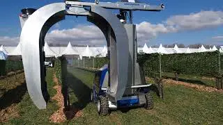 World FIRA 2023 - Robot demo TEYME Tecnologia Agr&iacute;cola - WETA ROBOT