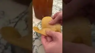 Too many #kombucha SCOBYs? Do this!