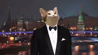 новогоднее обращение поп кота 2022