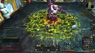 Brawler's Guild Rank 5 | Can Cozy Beat All 5 Bosses?
