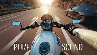 10 Minutes of Raw 3-Cylinder Music 🎧 | TRIUMPH STREET TRIPLE 675 + LEOVINCE