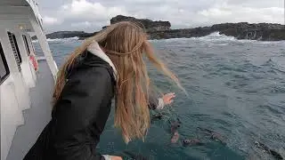 Wildlife Coast Cruises at Phillip Island by Grasshopper Travel