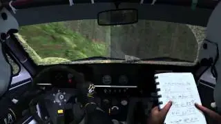 Dirt Rally - video tweaked (left) vs. original (right) direct comparison