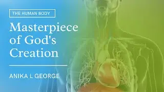 The Human Body