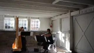 Here Comes The Sun - Flute and Harp