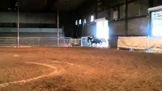 Sable2.MOV.mp4