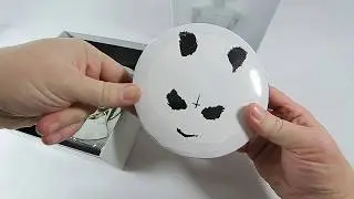 CRO - MELODIE (Fanbox) UNBOXING