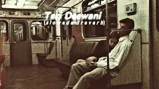 TERI DEEWANI [ SLOW +REVERB] LOFI MUSIC 🎶 