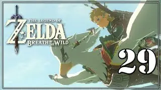 Breath of the Wild 29: THE FLIGHT OF A LIFETIME
