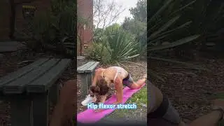 Powerful hip flexor stretch #hipflexorstretch #mobility #flexibility #posture #alignment #strecthing