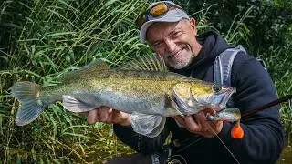 &bdquo;Zander vom Ufer! So f&auml;ngst du sie am Baggersee mit der ,Countdown Methode&lsquo; garantiert!&ldquo;