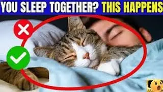 Why Your Cat Sleeps With You: 10 Surprising Health Benefits Backed by Science