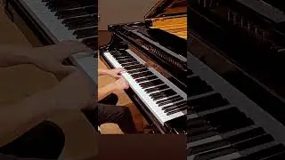 Fazioli 278 #classicalmusic #fazioli #improviser #classical