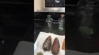 Hoodoo pine oil (pine soil) abundance floor wash