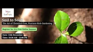Soil to Soul -The Art of Chemical-Free, Nutrient-Rich Gardening