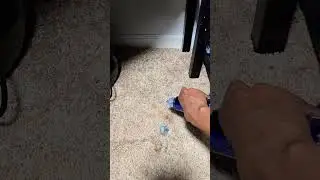 Removing stains from carpet, with Dawn soap and Hydrogen Peroxide  #diy #carpet #stains #satisfying