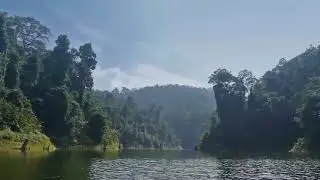Royal Belum - Introduction to the oldest rain forest in Malaysia