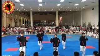 Champion of Taerobic: Dynamic @Kedah Open Championship 2018
