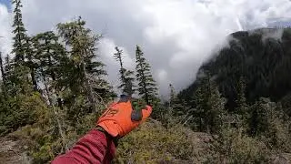 cook creek lookout