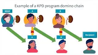 MODULE 6: NON-DIRECTED ANONYMOUS DONORS