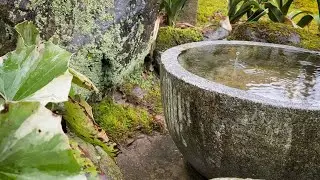 RAINY DAY VLOG / how to enjoy Sake