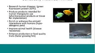 What is a GMO