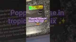 newbiiiiiiiiieeeeezzz in light mix soil this morning 🌄 ✌️ ☮️ 🕊 🏳️&zwj; ✌️ ☮️ 🕊