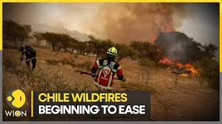Chile wildfires beginning to ease, 24 dead  | WION Climate Tracker | Latest English News