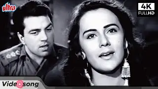 4K | धर्मेंद्र और प्रिया राजवंश जीका प्यारभरा गीत ज़रा सी आहट होती है | Zara Si Aahat Hoti Hai Song