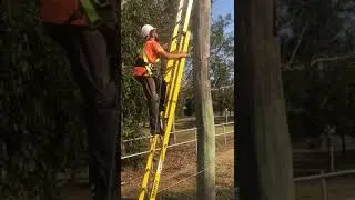 Pole Grab Ladder Safety Kit showing EASY SAFE Ascending up Ladder Secured