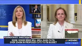 Congresswoman Dean on the Danger of Proposed FBI Budget Cuts