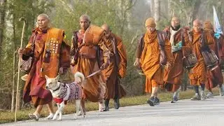 MY EYES ON THE WAY OF “WALK FOR PEACE” PILGRIMAGE - LE BICH SON 13.1.2026 #walkforpeace 