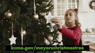 Mayor's Christmas Tree History