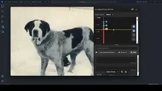 Audiobooks Illuminated Editor Basics