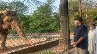 Kavaan the elephant leaving for Cambodia