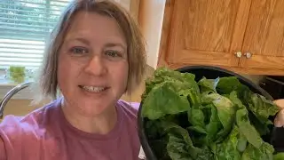 Preserving Greens | Kale, Swiss Chard & Greens
