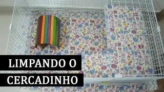 LIMPANDO O CERCADINHO DAS PORQUINHAS DA ÍNDIA | GUINEA PIG