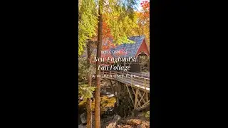 People Are Obsessed With New England in Fall And We Can See Why 🍁