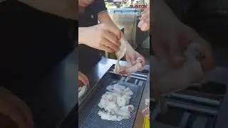 Snakehead fish slicer for fish processing plant