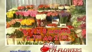 A-flowers  Same Day  Delivery Flowers