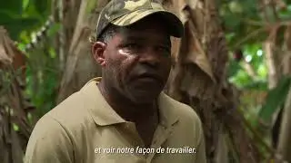 #CANGT - STRUCTURATION FILIERE AGRICOLE