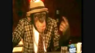 The Monkey Joke