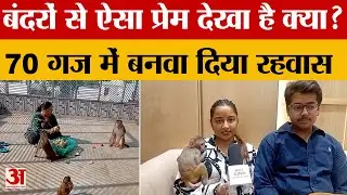 Hisar News: सुनील का परिवार कर रहा बंदरों की सेवा, खाने से लेकर दवाई का उठा रहे खर्च | Monkey