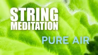 String meditation pure air