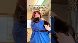 Every donation matters, link in bio🥹❤️ #animal #cat #goshelter #kitten