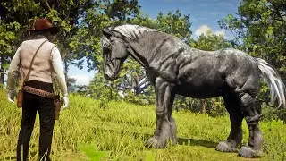 John Marston Tames Bill&rsquo;s Beautiful Wild Horse near the Heartlands | RDR2