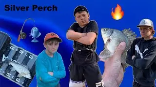Fishing For Silver Perch🔥🎣