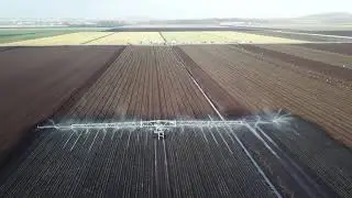 Irrigating onion transplants Briggs Boom